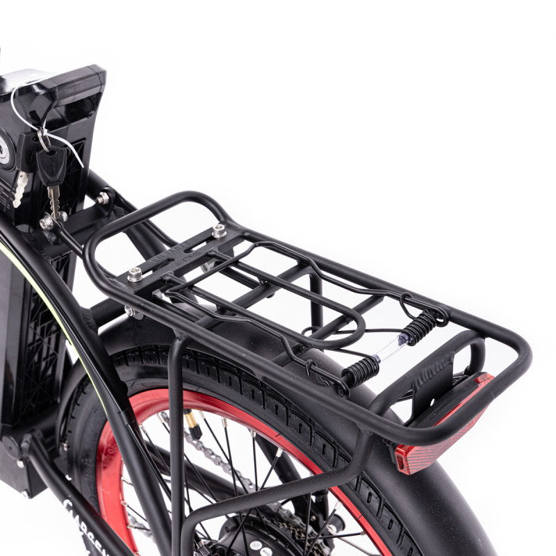 bicicletta argento piuma