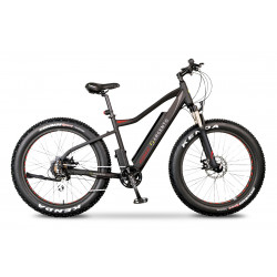 Argento Elephant - Fat eBike