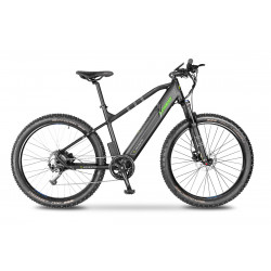 Argento Performance Mountain eBike Vers.2020