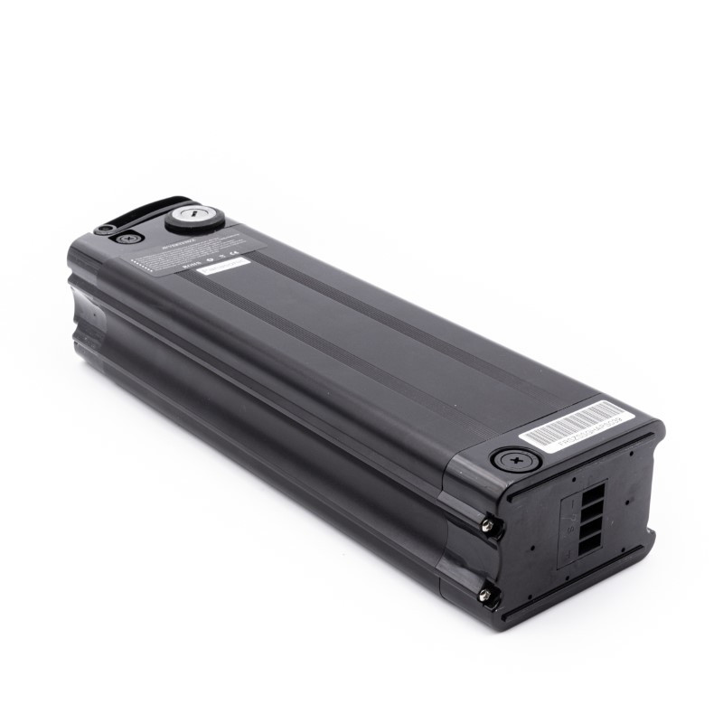 Batteria agli ioni di litio celle Panasonic 48V 12.8Ah per E-Bike  compatibile con: Argento BI MAX XL